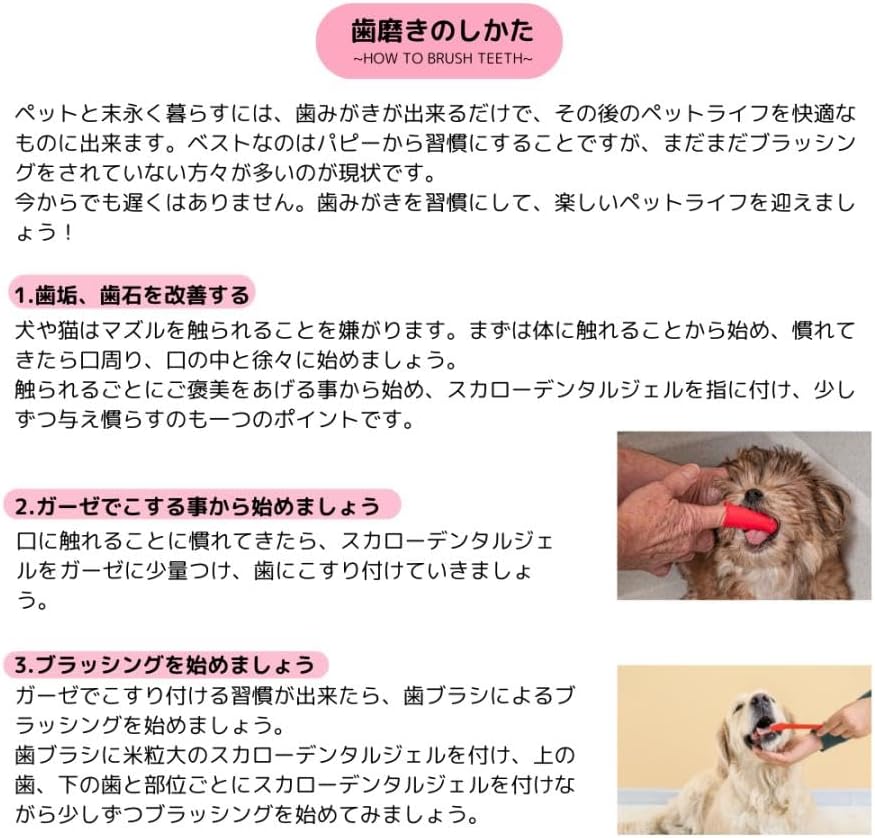 3個セット】スカローデンタルジェル 無香料 犬 歯磨き 40g×3 ペット用